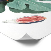 botanische illustratie poster (Hoek)