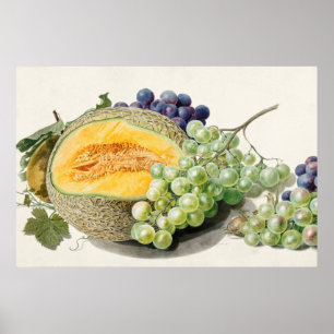 botanische illustratie poster