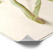  botanische illustratie poster (Hoek)