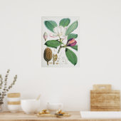  botanische illustratie poster (Keuken)