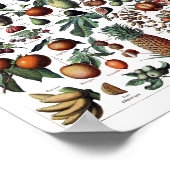  botanische illustratie poster (Hoek)