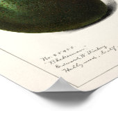  botanische illustratie poster (Hoek)