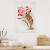  botanische illustratie poster (Keuken)