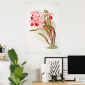  botanische illustratie poster (Thuiskantoor)