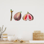 Botanische illustratie poster (Keuken)