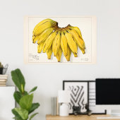  botanische illustratie poster (Thuiskantoor)