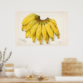  botanische illustratie poster (Keuken)