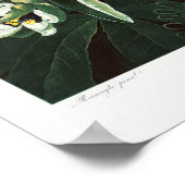  botanische illustratie poster (Hoek)