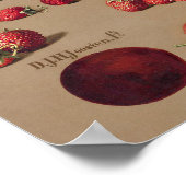  botanische illustratie poster (Hoek)