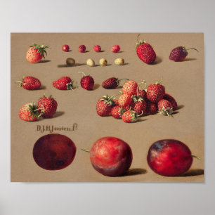 botanische illustratie poster