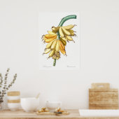  botanische illustratie poster (Keuken)