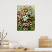  botanische illustratie poster (Keuken)