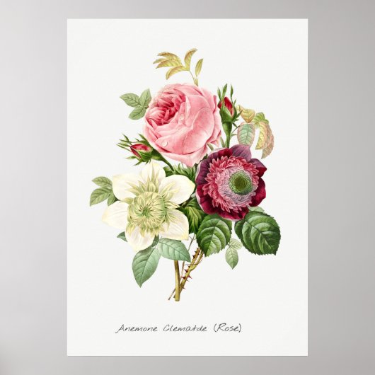  botanische illustratie poster (Voorkant)