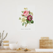  botanische illustratie poster (Keuken)