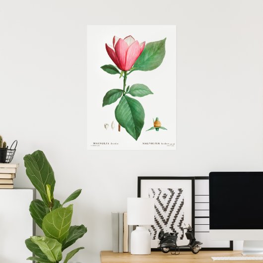 botanische illustratie poster (Thuiskantoor)