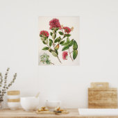  botanische illustratie poster (Keuken)