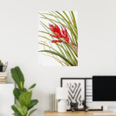  botanische illustratie poster (Thuiskantoor)