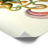  botanische illustratie poster (Hoek)