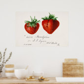  botanische illustratie poster (Keuken)