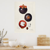  botanische illustratie poster (Keuken)