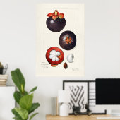  botanische illustratie poster (Thuiskantoor)