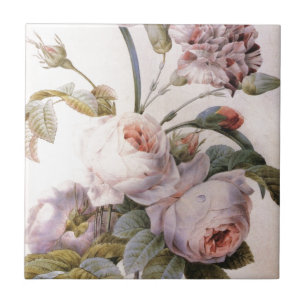 botanische illustratie, roze roze roze roos tegeltje