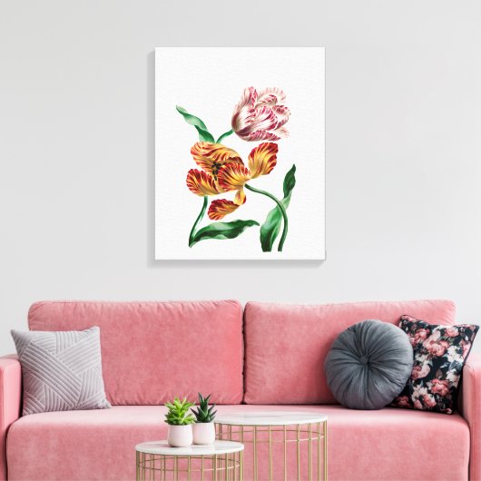 Botanische illustratie Tulp Canvas Afdruk (Insitu (Woonkamer))