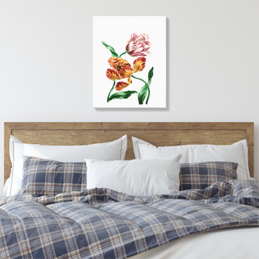 Botanische illustratie Tulp Canvas Afdruk (Insitu (Slaapkamer))