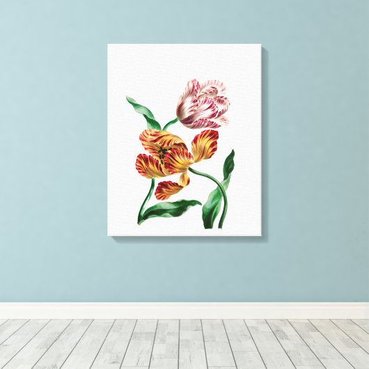Botanische illustratie Tulp Canvas Afdruk (Insitu (Houten vloer))
