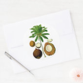 Botanische illustratie van de kokosnootboom ronde sticker (Envelop)