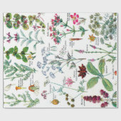 Botanische illustraties cadeaupapier (Vlak)