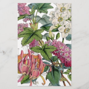 botanische illustraties flyer
