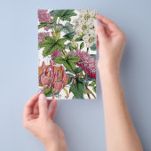  botanische illustraties flyer (Hand)