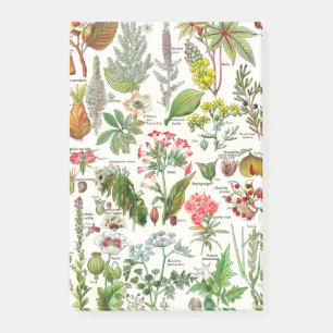 Botanische illustraties — Grote Planten gevaarlijk Post-it® Notes