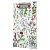 Botanische illustraties - Grote Planten Klembord (Links)