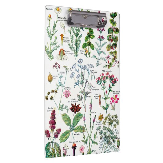 Botanische illustraties - Grote Planten Klembord (Rechts)