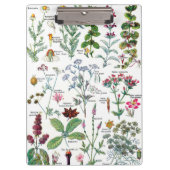 Botanische illustraties - Grote Planten Klembord (Voorkant)