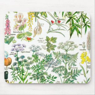 Botanische illustraties - Grote Planten Muismat