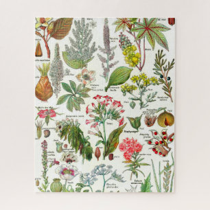 Botanische illustraties Jigzaag Puzzle Legpuzzel
