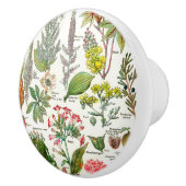 Botanische illustraties keramische knop (Rechts)