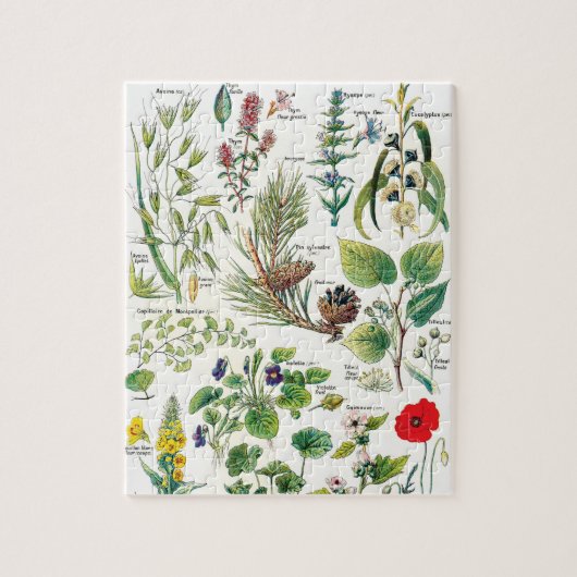 Botanische illustraties legpuzzel (Verticaal)