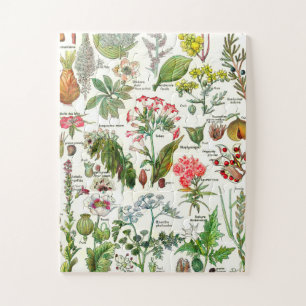 Botanische illustraties legpuzzel