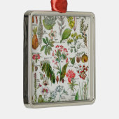 Botanische illustraties metalen ornament (Rechts)