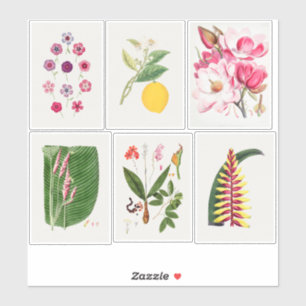 Botanische illustraties sticker