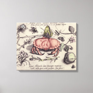 Botanische Insect Flower Illustration van krab Canvas Afdruk