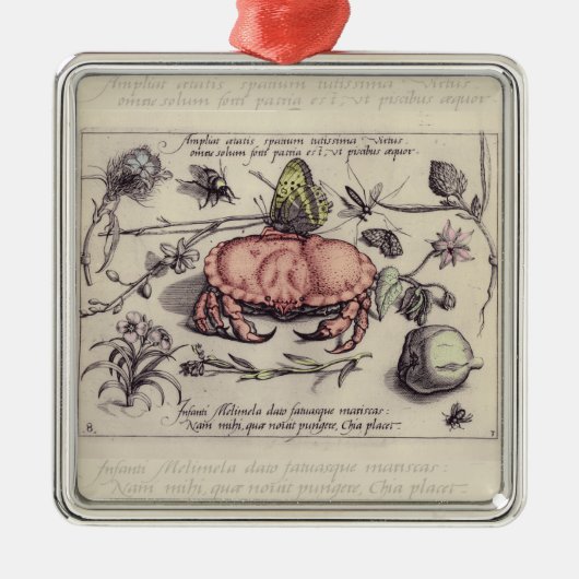 Botanische Insect Flower Illustration van krab Metalen Ornament (Voorkant)