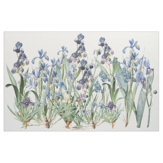 Botanische Iris Flowers Floral Redoute Fabric Stof (Yard (91,4 cm))