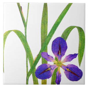 Botanische Iris Flowers Redoute Floral Garden Tegeltje