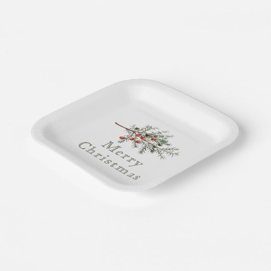  botanische jeneverbes kerstgroen papieren bordje (Gebogen)