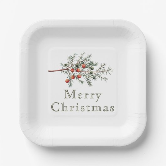  botanische jeneverbes kerstgroen papieren bordje (Voorkant)